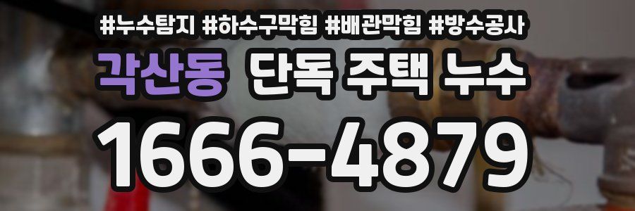 각산동 단독 주택 누수