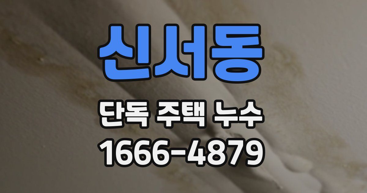 신서동 단독 주택 누수