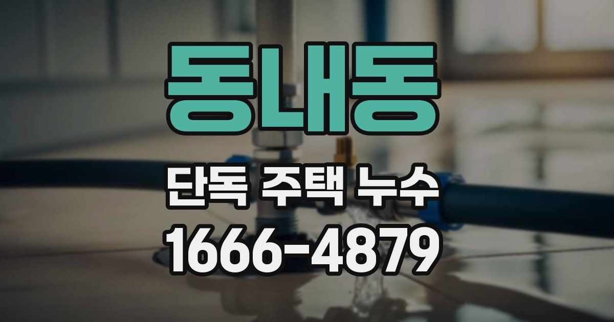 동내동 단독 주택 누수