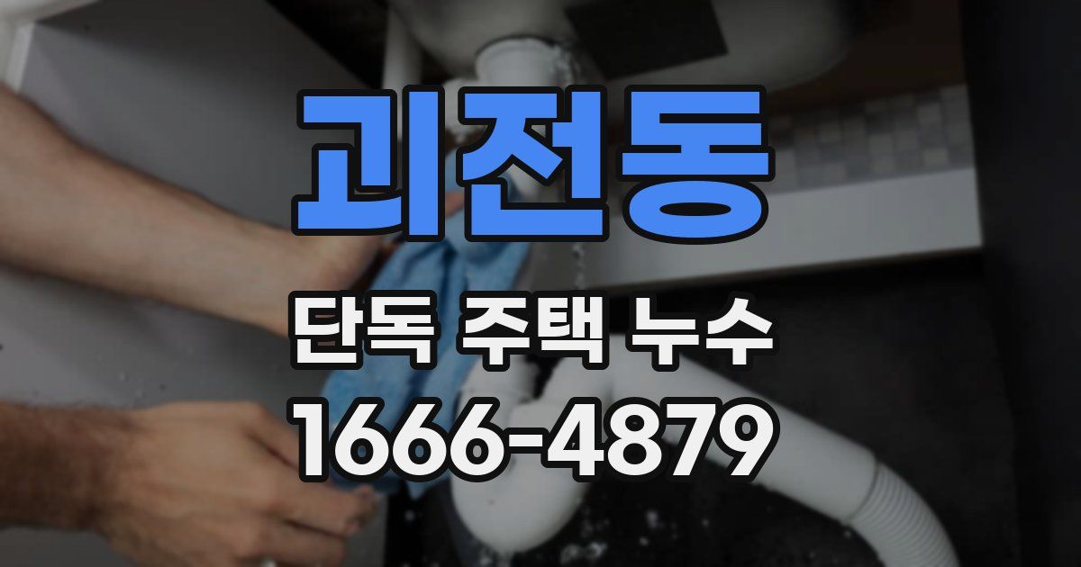 괴전동 단독 주택 누수