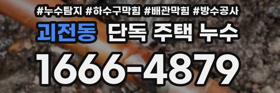 괴전동 단독 주택 누수