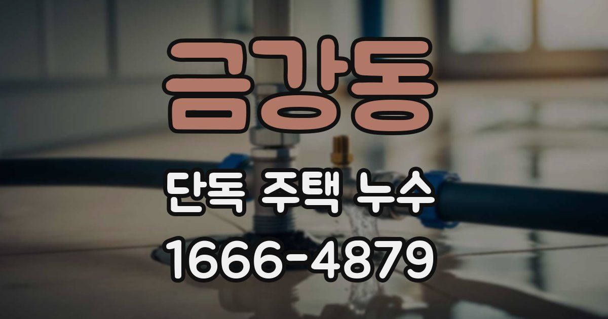 금강동 단독 주택 누수