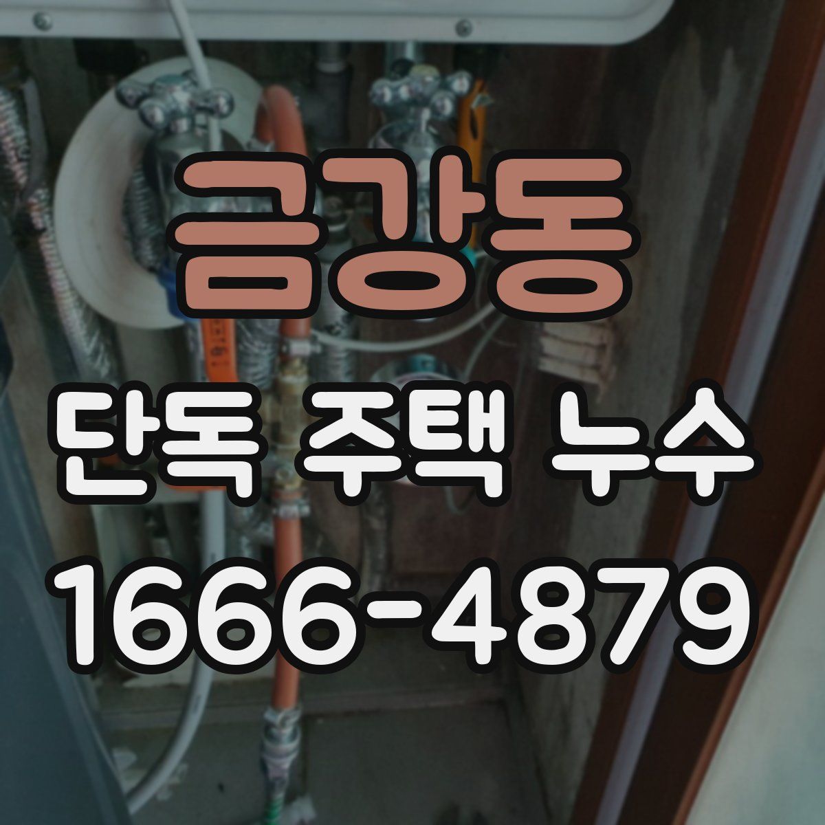 금강동 단독 주택 누수