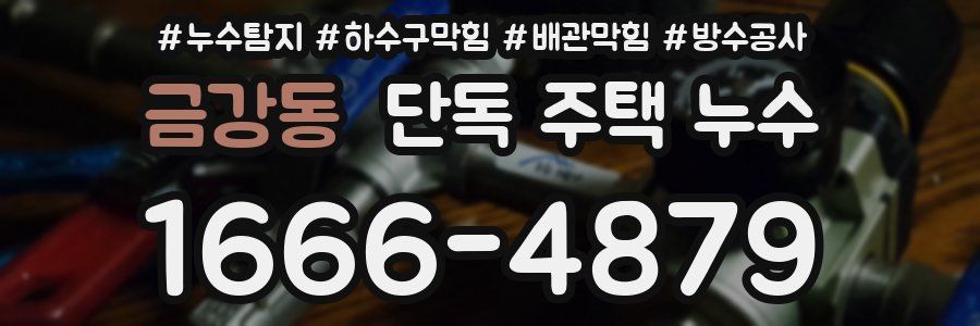 금강동 단독 주택 누수