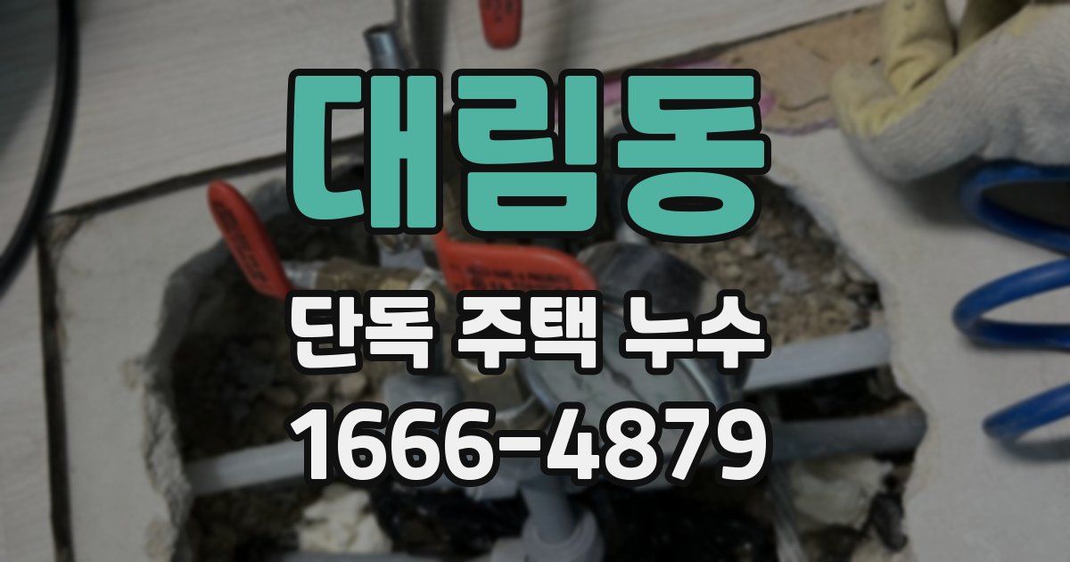 대림동 단독 주택 누수