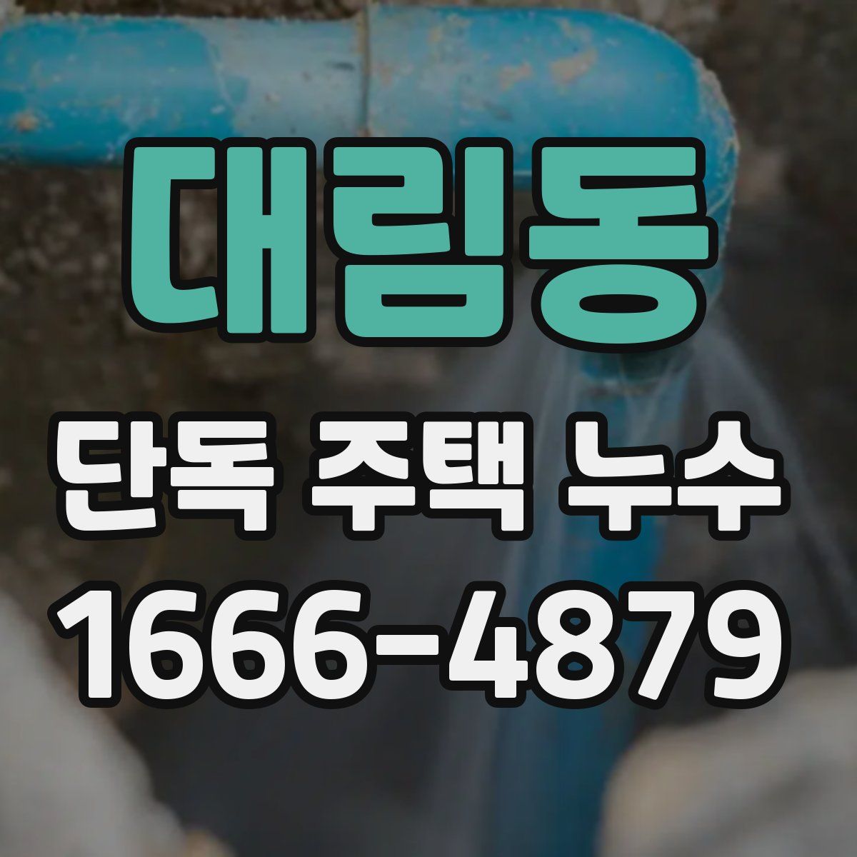 대림동 단독 주택 누수