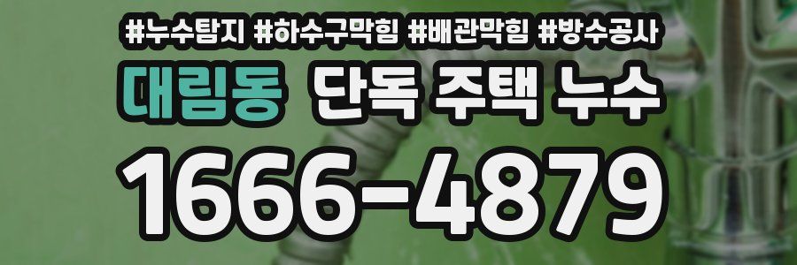 대림동 단독 주택 누수
