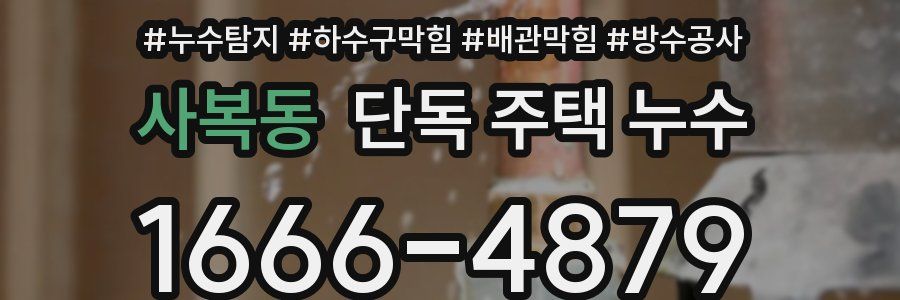 사복동 단독 주택 누수