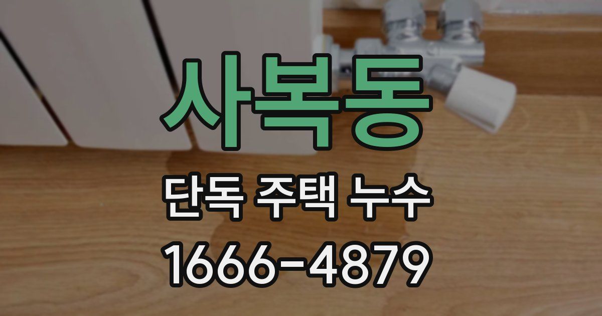 사복동 단독 주택 누수