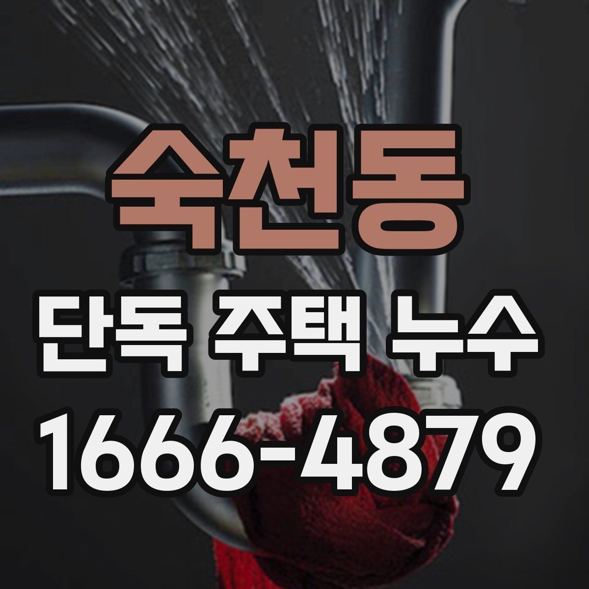숙천동 단독 주택 누수