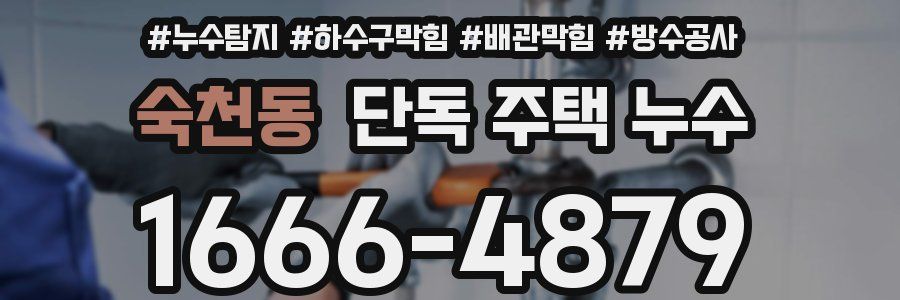 숙천동 단독 주택 누수