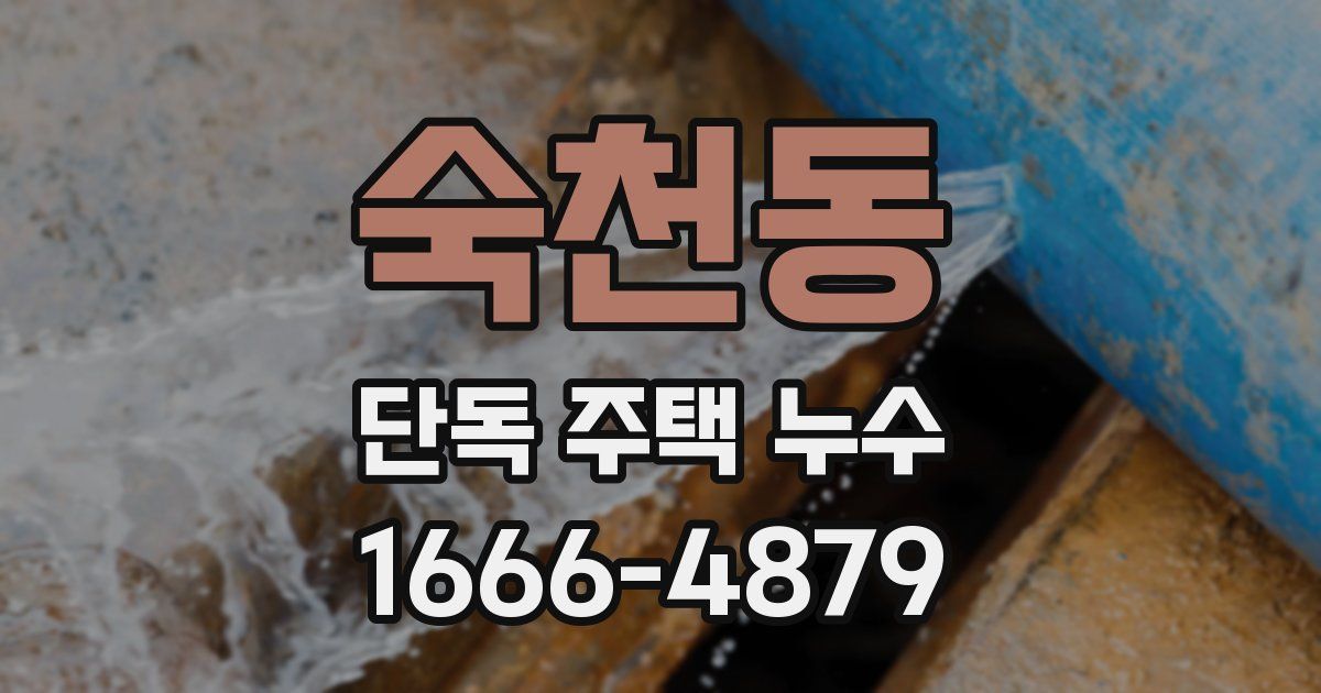 숙천동 단독 주택 누수