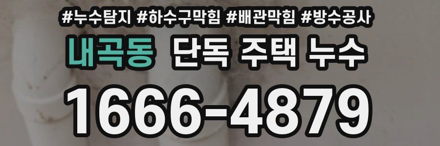 내곡동 단독 주택 누수