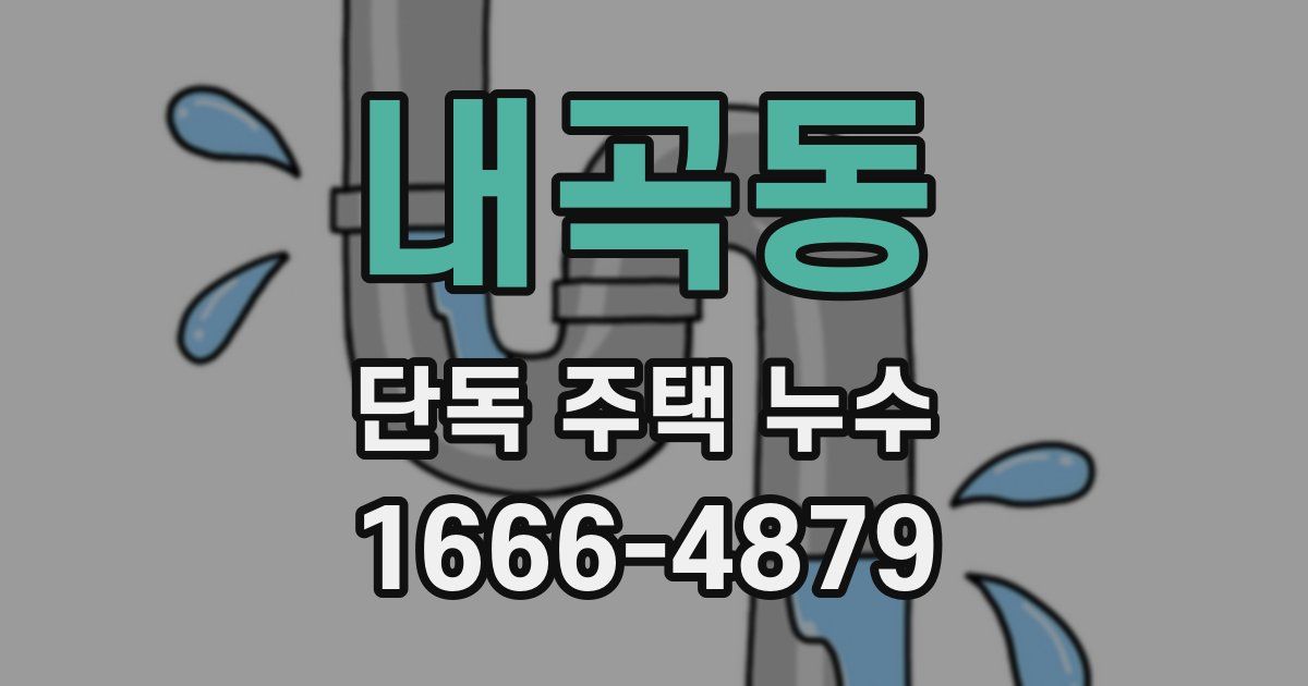 내곡동 단독 주택 누수