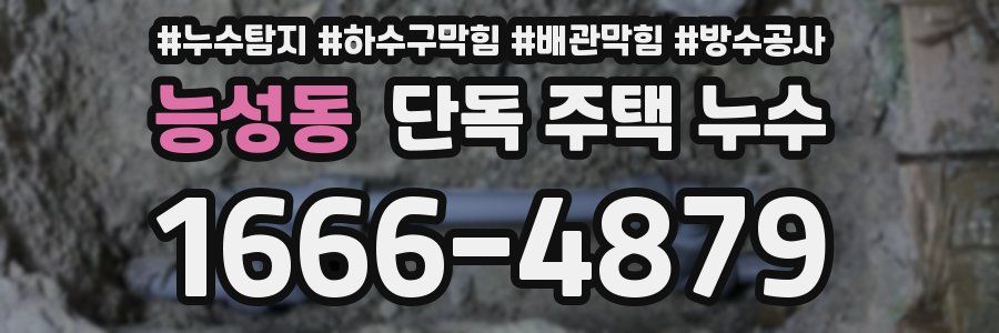 능성동 단독 주택 누수