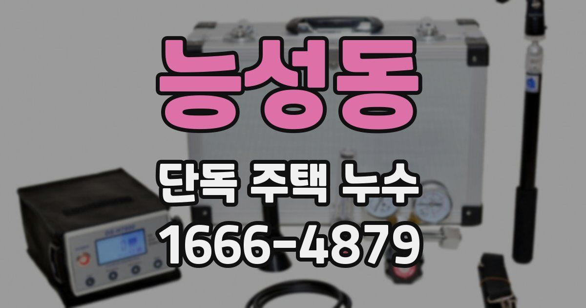 능성동 단독 주택 누수