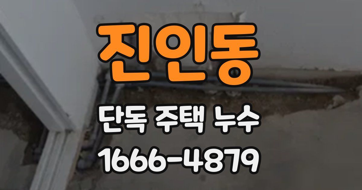 진인동 단독 주택 누수