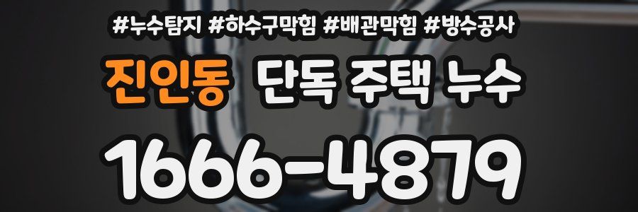 진인동 단독 주택 누수