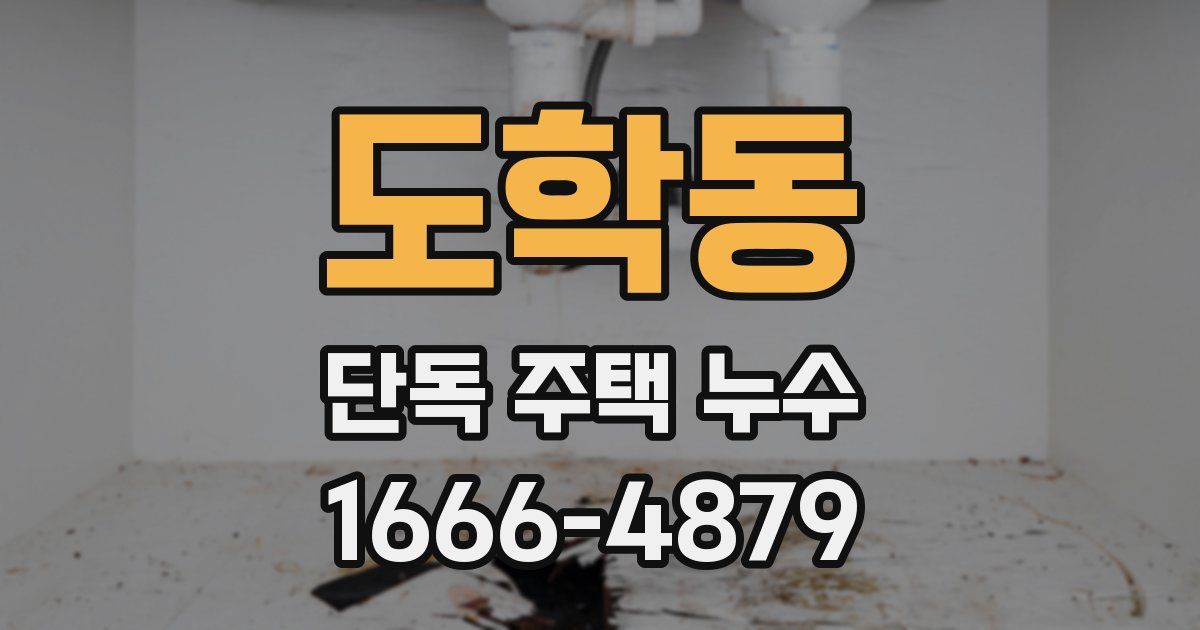 도학동 단독 주택 누수