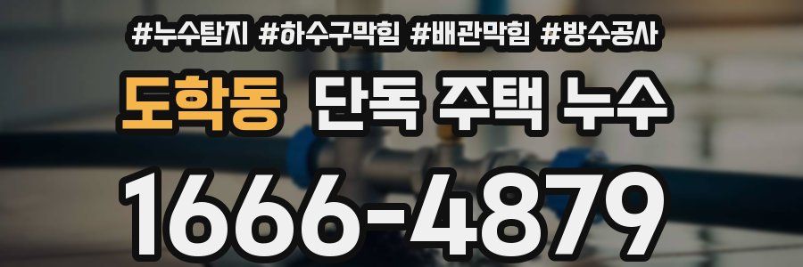 도학동 단독 주택 누수