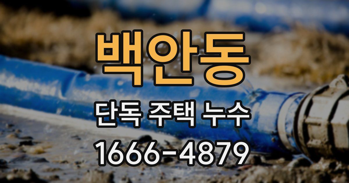 백안동 단독 주택 누수