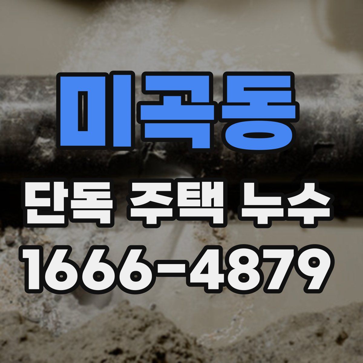 미곡동 단독 주택 누수