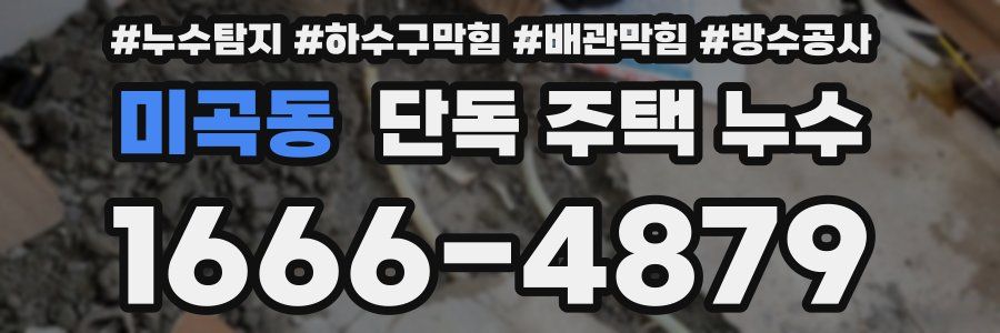 미곡동 단독 주택 누수