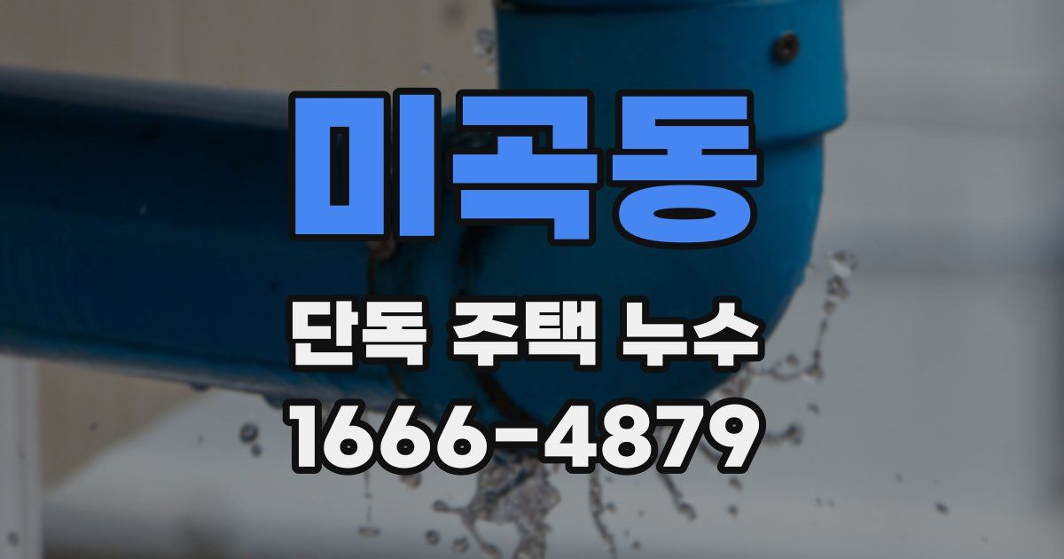 미곡동 단독 주택 누수