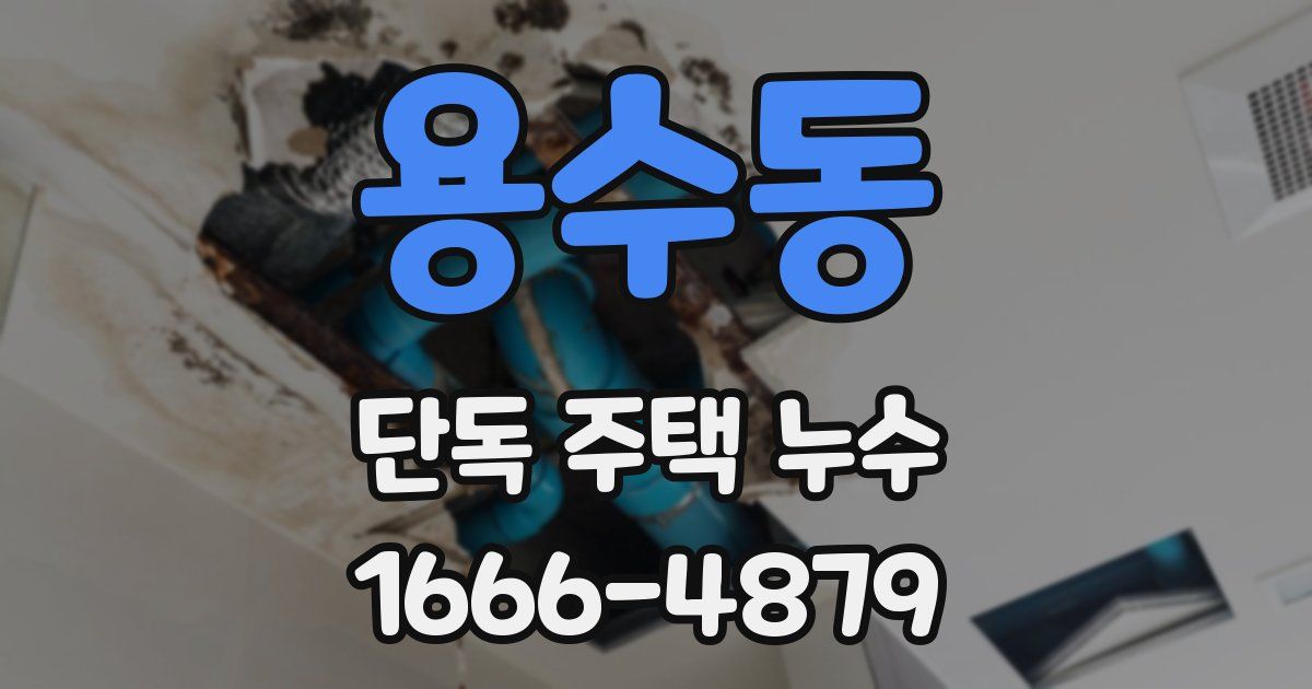 용수동 단독 주택 누수