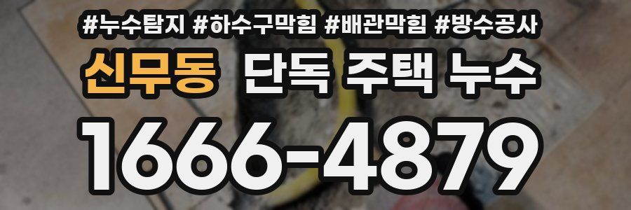 신무동 단독 주택 누수