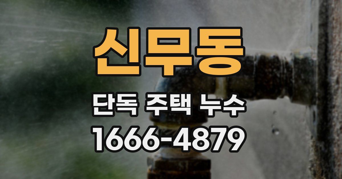 신무동 단독 주택 누수