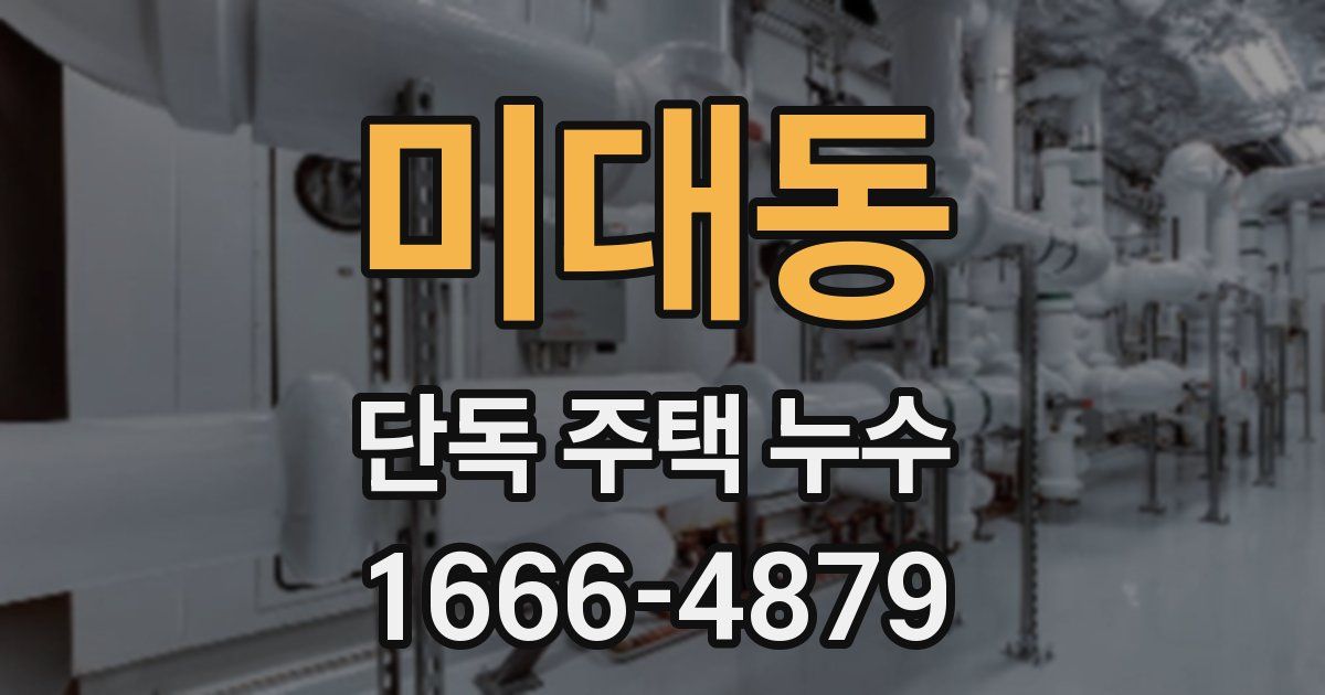 미대동 단독 주택 누수