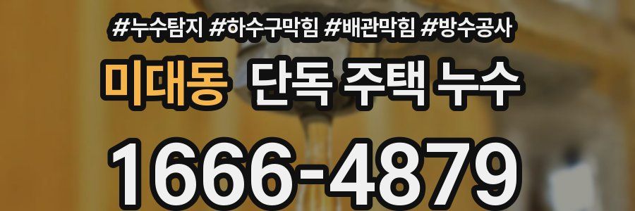 미대동 단독 주택 누수