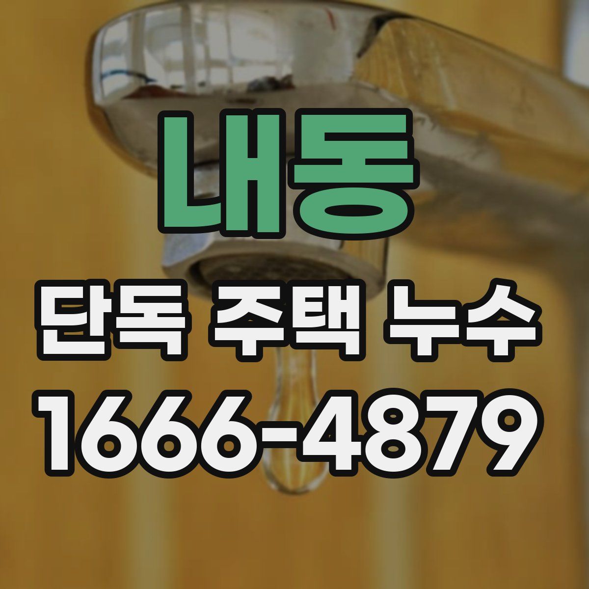 내동 단독 주택 누수