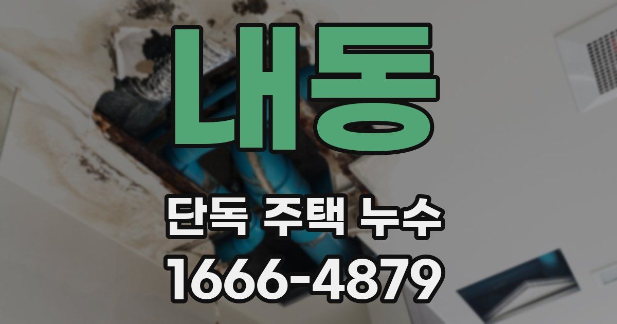 내동 단독 주택 누수