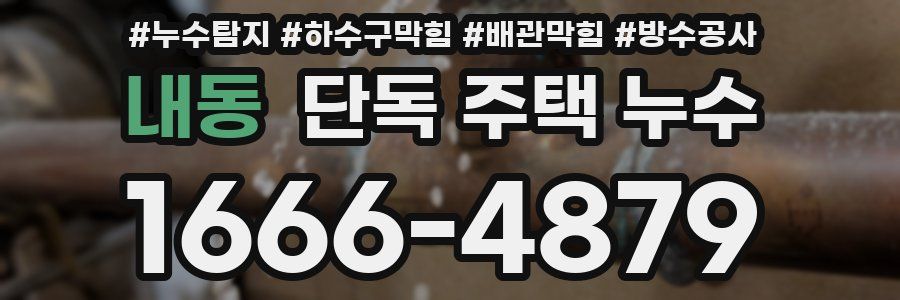 내동 단독 주택 누수