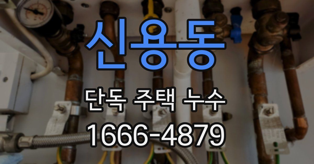 신용동 단독 주택 누수