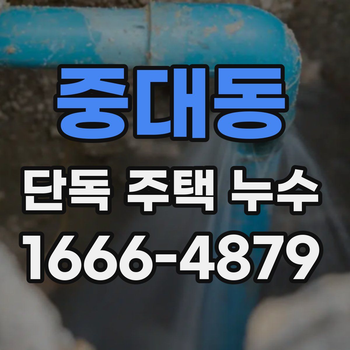 중대동 단독 주택 누수