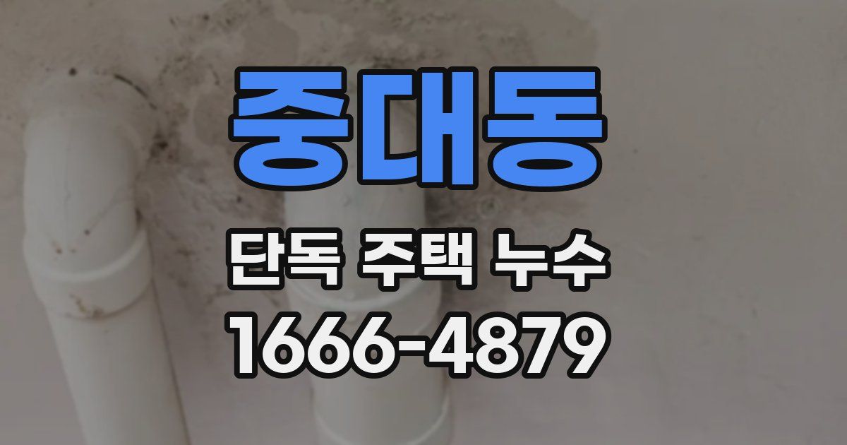중대동 단독 주택 누수