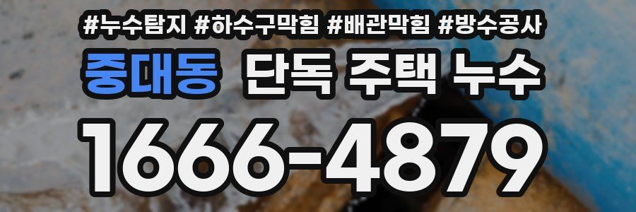 중대동 단독 주택 누수