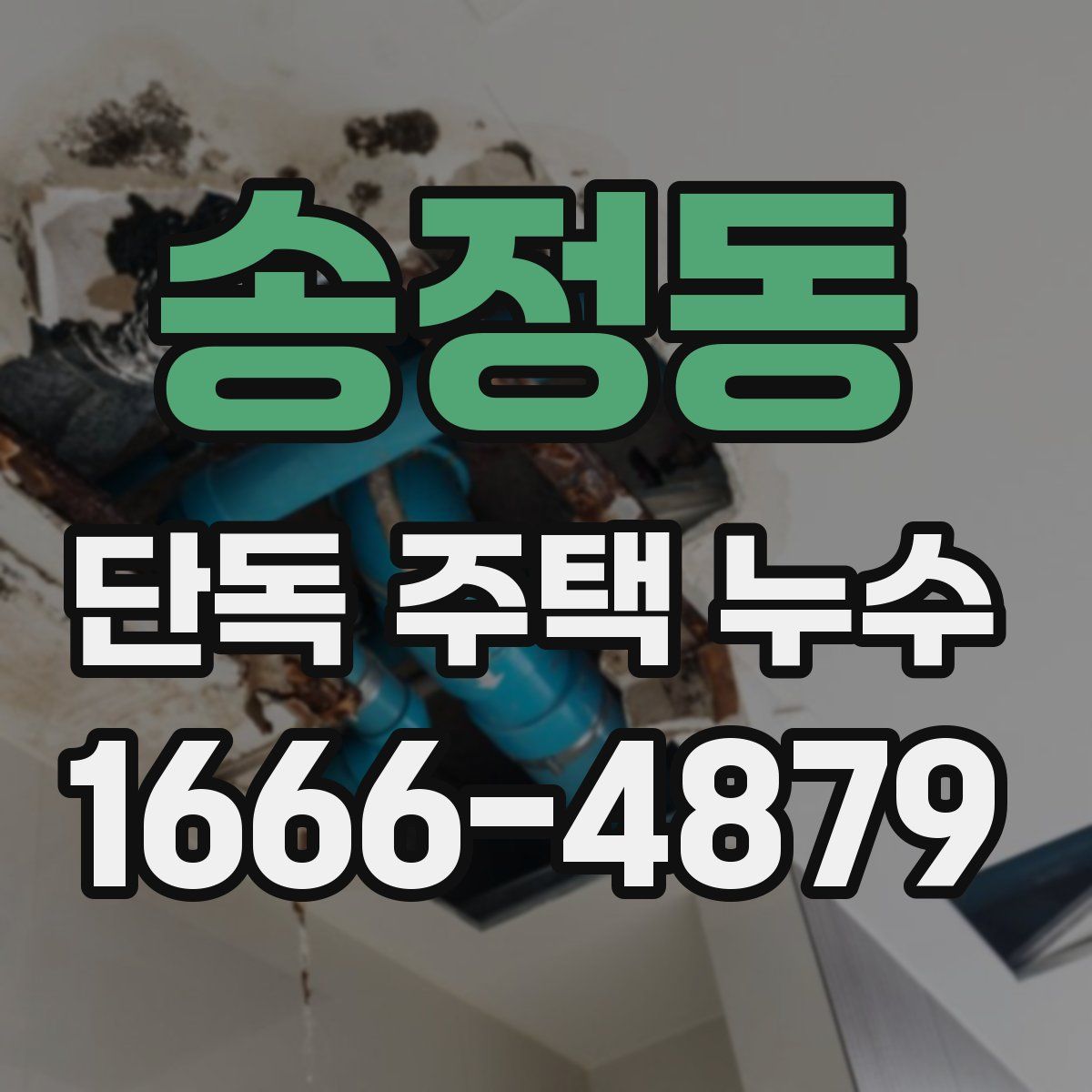 송정동 단독 주택 누수