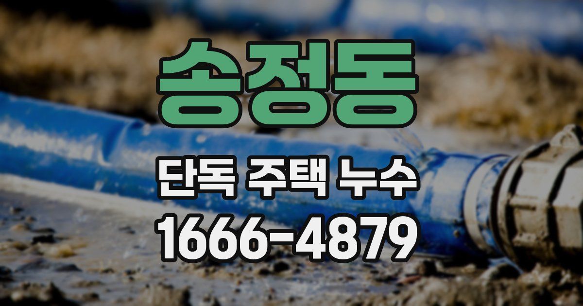 송정동 단독 주택 누수