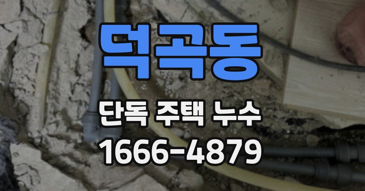 덕곡동 단독 주택 누수