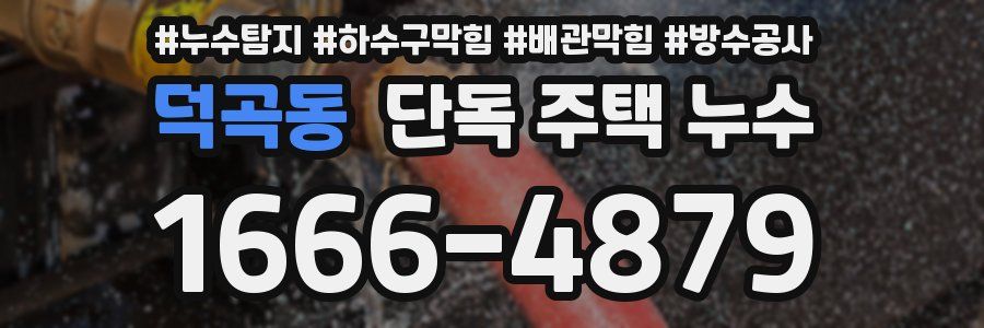 덕곡동 단독 주택 누수