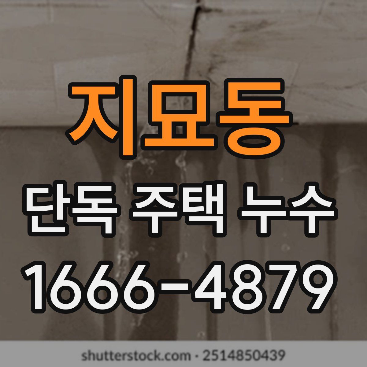 지묘동 단독 주택 누수