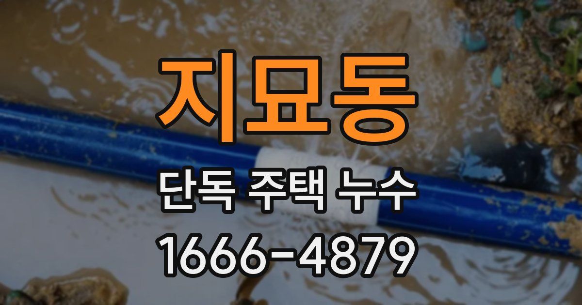 지묘동 단독 주택 누수