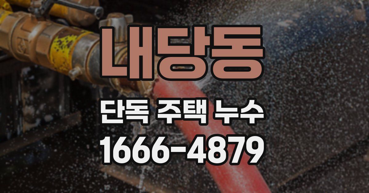 내당동 단독 주택 누수