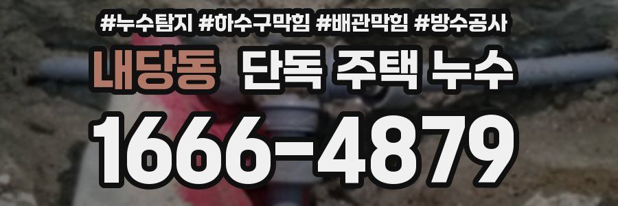 내당동 단독 주택 누수