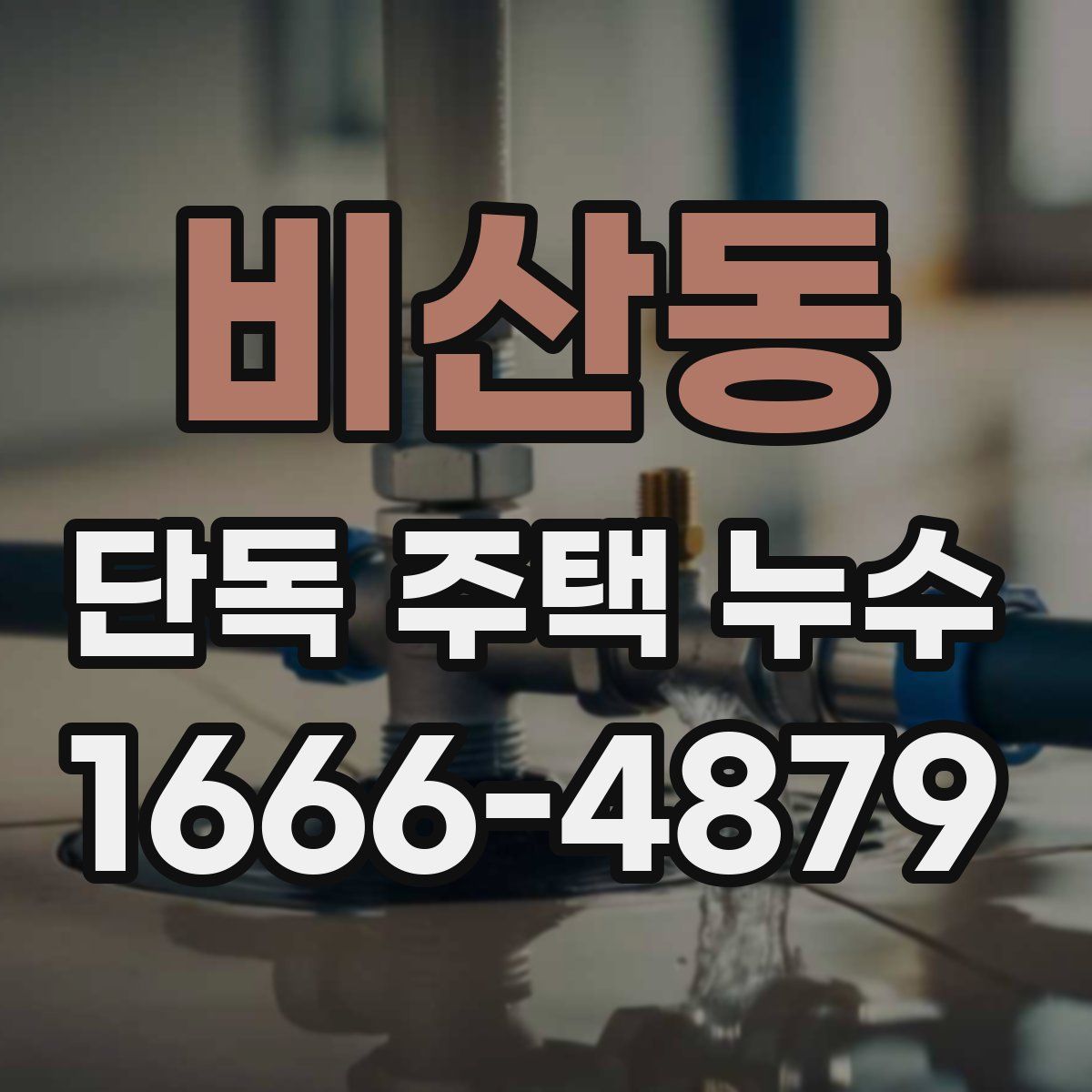비산동 단독 주택 누수