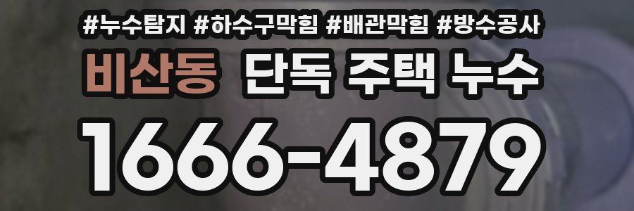 비산동 단독 주택 누수